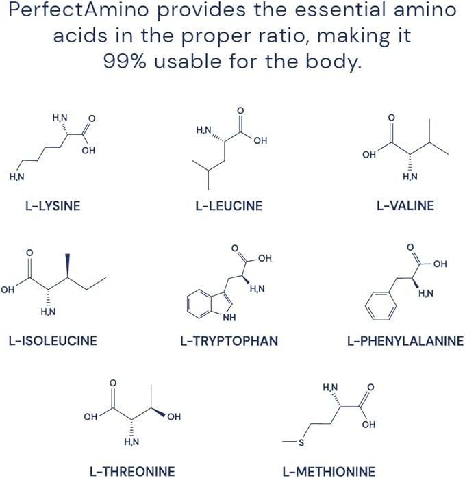 BodyHealth PerfectAmino Powder 60 Servings