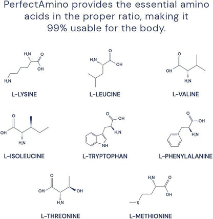 BodyHealth PerfectAmino Powder 60 Servings