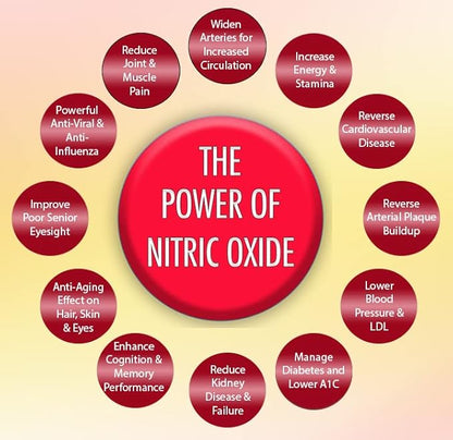 OxyBoost with ViNitrox - Nitric Oxide Supplement for Blood Pressure Support, Heart Health, Energy Boost, Circulation, and More (3 Bottles - 90 Servings)