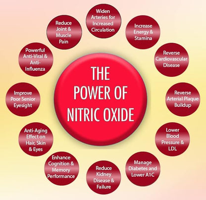 OxyBoost - Nitric Oxide Supplement (1 Bottle - 30 Servings)