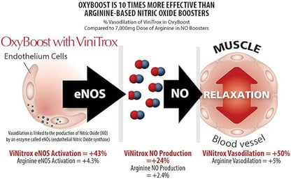 OxyBoost with ViNitrox - Nitric Oxide Supplement for Blood Pressure Support, Heart Health, Energy Boost, Circulation, and More (3 Bottles - 90 Servings)