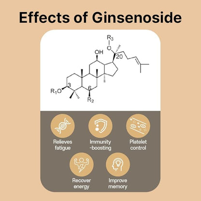 Korean Ginseng Extract Stick(10gx60 Stick)/ Made