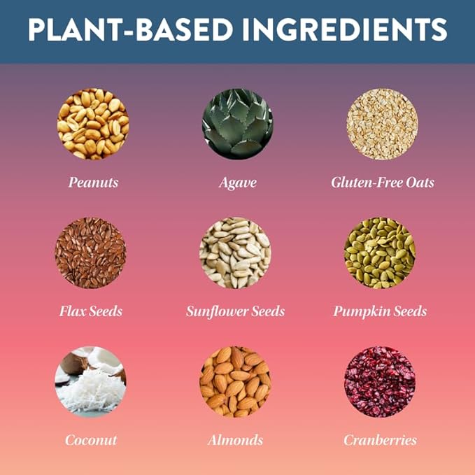 Protein Puck Plant Based Bars 12 grams 16 Count (1 Pack)