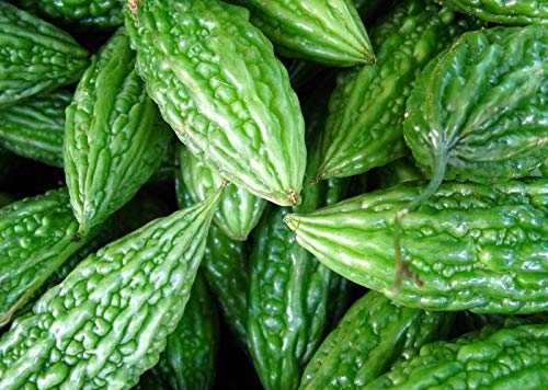 Neotea Momordica Charantia 300 GM