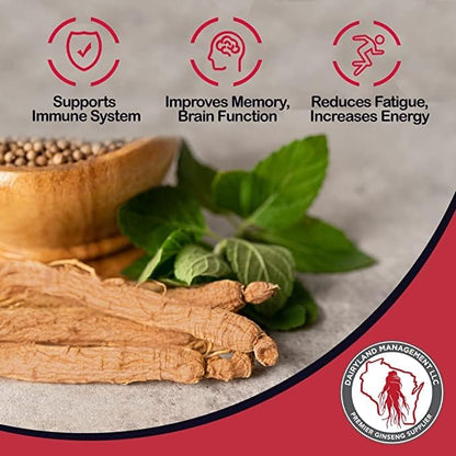 Red Panax Ginseng Root 8 oz