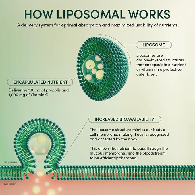 Propolis Liposomal Vitamin C by Beekeeper's 1000mg Vitamin 12 Ct