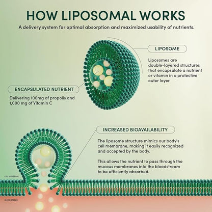 Propolis Liposomal Vitamin C by Beekeeper's 1000mg Vitamin 12 Ct