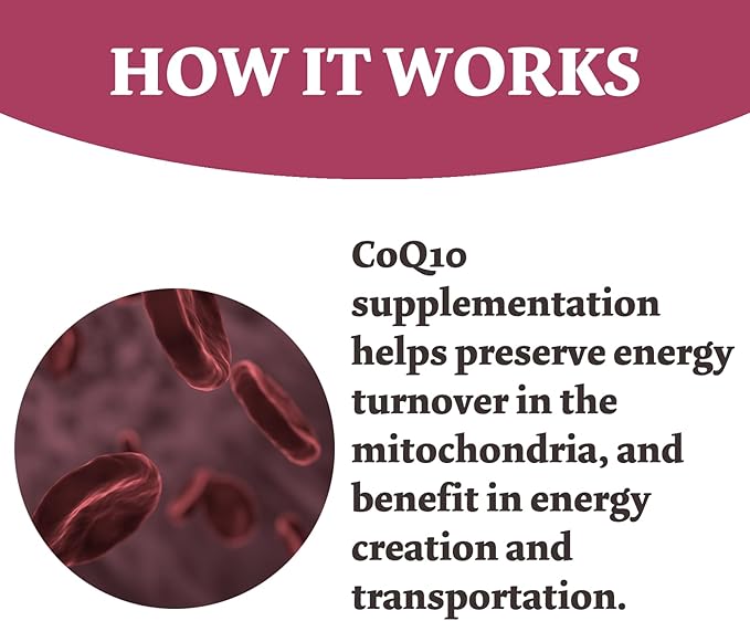 High Absorption - CoQ10 Gummies 200mg Q10 - CoQ10 Gummies 60 Count