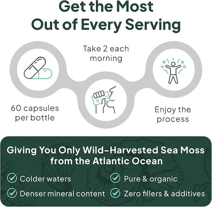 Wild Sea Moss Capsules - 100% Organic Irish Sea Moss with Organic Chlorella, Bladderwrack and Vitamin D for Energy, Lung Health and Thyroid Support for Women and Men - 3 Bottles