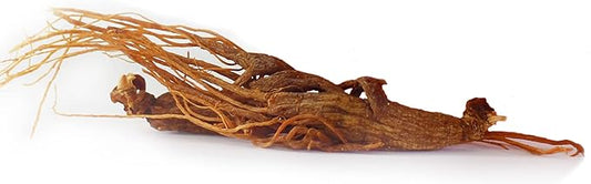 Red Panax Ginseng Root 4 oz