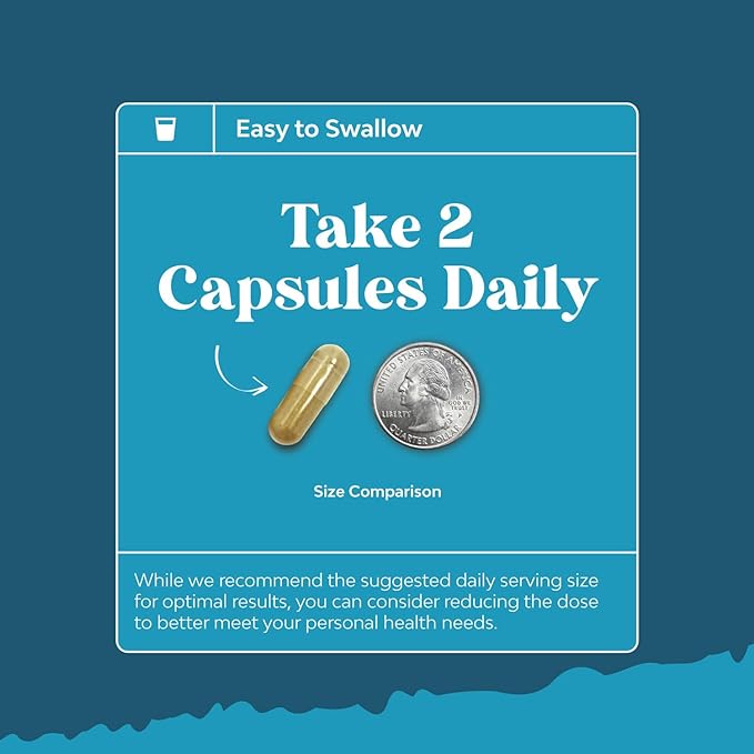 Nootropics Brain Support Supplement