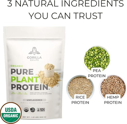 100% Organic Pure Plant Protein Powder 20 Servings