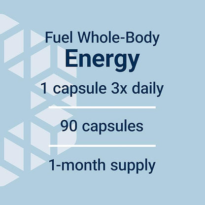 Life Extension Acetyl-L-Carnitine Arginate, Advanced Brain & Nerve Health, Cellular Energy Support, Gluten-Free, Non-GMO, 90 Capsules