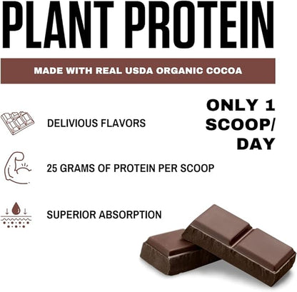 vedge Certified Organic Plant Protein Chocolate (20 Servings)