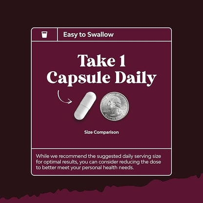 Kidney Support Cranberry Pills for Women and Men - High Strength Kidney Cleanse Detox & Repair with Stinging Nettle Uva Ursi and Astragalus for Kidney and Bladder Health - Non-GMO Halal and Vegan