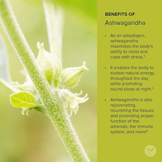 Banyan Botanicals Organic Ashwagandha Powder –