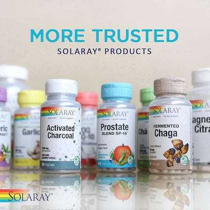 SOLARAY One Daily Ginkgo Biloba Leaf Extract (60 VegCaps) (30 VegCaps)