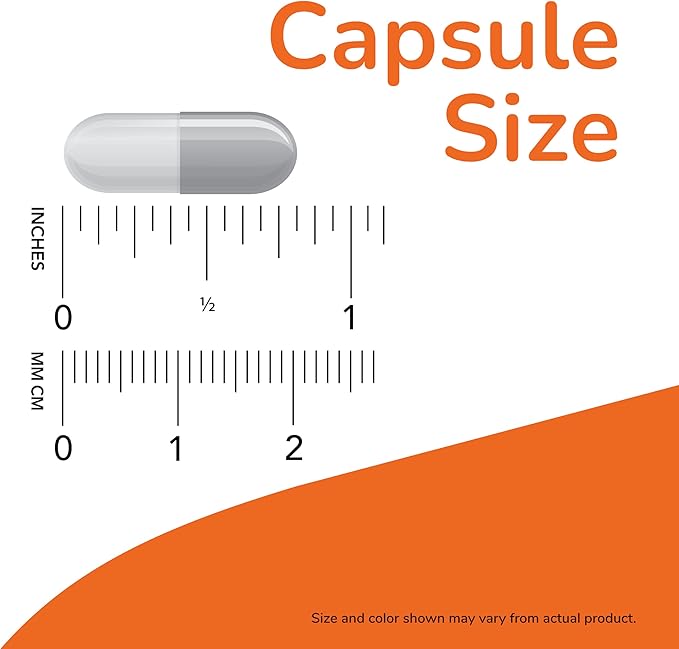 NOW Foods Supplements, True Focus™ with Amino Acids, Ginkgo, DMAE + CoQ10 and Grape Seed Extract , 90 Veg Capsules