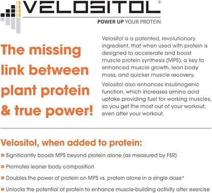 Genius Vegan Protein Powder, Chocolate