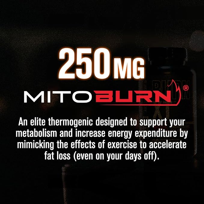 Jacked Factory Burn-XT Max - High-Performance Thermogenic Fat Burner & Appetite Suppressant for Weight Loss w/PurCaf Organic Caffeine, MitoBurn, Green Tea, Acetyl L Carnitine & More - 90 Capsules