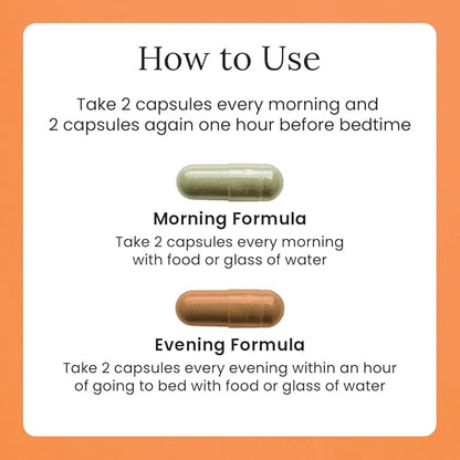 Gulp Core Essentials AM PM Multivitamin 3, Probiotics, 60 Servings, 2 Month