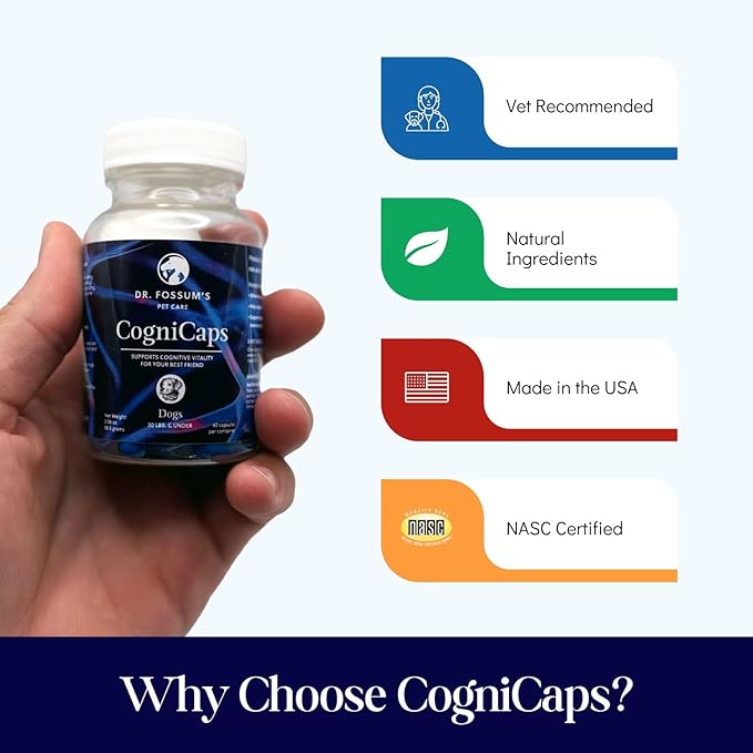 Dr. Fossum's CogniCaps Dog Cognitive Supplement – Multivitamin for Dogs Brain Health with SAM-e, Coenzyme Q10, Polygala, Curcumin – Senior Dog Supplements for Cognitive Support