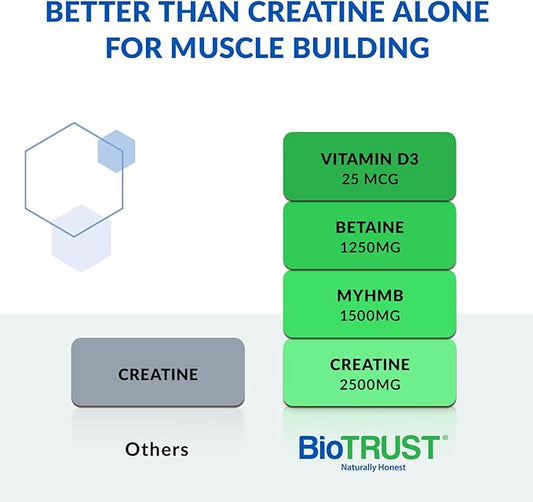 BioTrust Ageless Muscle Builder - Creatine HMB Powder with Vitamin D3 & Betaine - Build & Preserve Naturally Declining Muscle Mass & Strength - Fruit Punch, 30 Servings