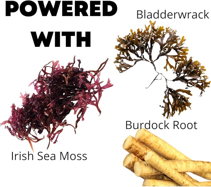 Wild Crafted Irish Sea Moss Gummies 60 Gummies