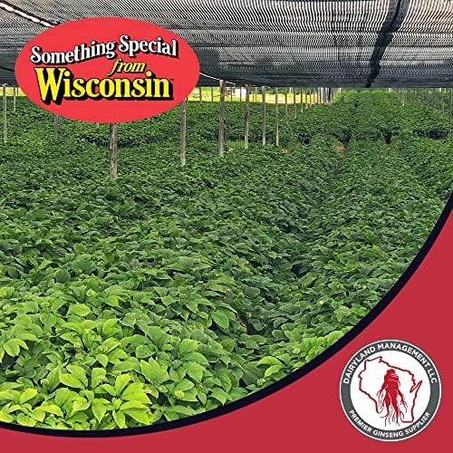 Dairyland Premium American Ginseng Powder 西洋参 16 oz