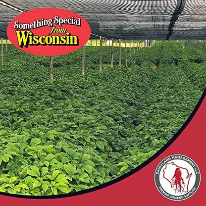 Dairyland Premium American Ginseng Powder 西洋参 16 oz