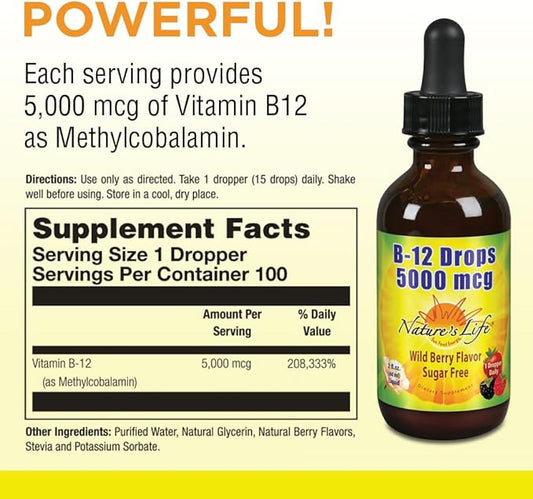 Nature's Life B-12 Drops, Methlycobalamin 4 oz (2 Fl Oz (Pack of 1))