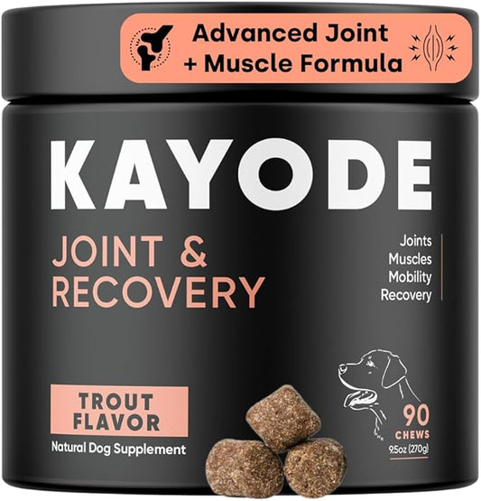 Joint & Recovery | 2-in-1 Joint & Muscle Chews. Joint Support Supplement for Dogs. Helps with Arthritis or Prevention from Hip & Joint Pain. for All Life Stages. Tasty Trout Flavor.