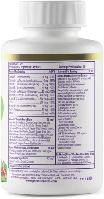 Paradise Herbs, Earth's Blend B-Complex, Methylated, 60