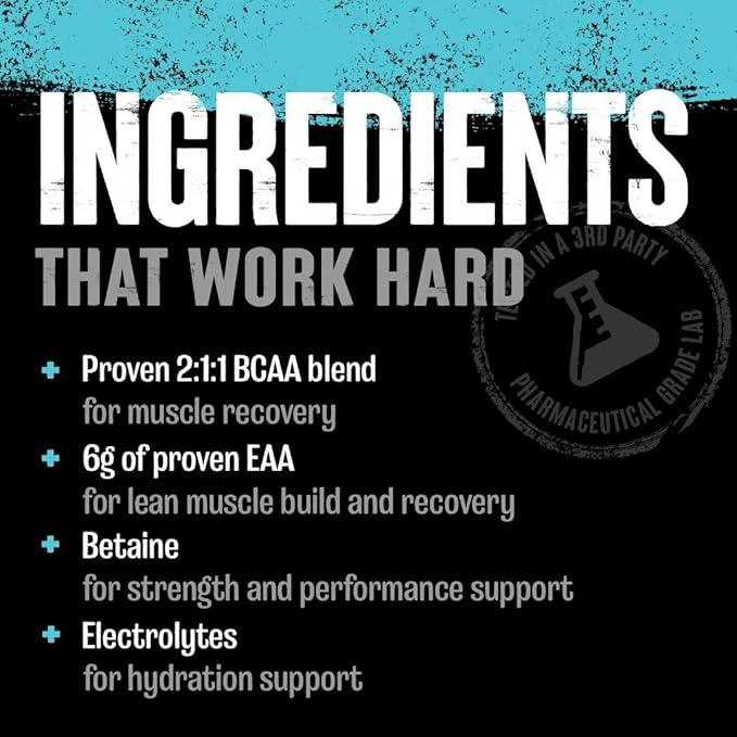 Animal Juiced Amino Acids - BCAA Powder EAA Matrix Plus Hydration with Electrolytes and Sea Salt Anytime Recovery and Improved Performance, Fruit Punch Flavor, 30 Servings