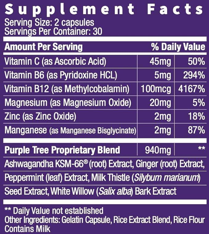 purple tree Next Day, Post-Celebration Wellness - Take Tomorrow | Replenish & Feel Your Best | Ashwagandha, Ginger, Peppermint, Milk Thistle, Electrolytes, Vitamins, 90 Pills