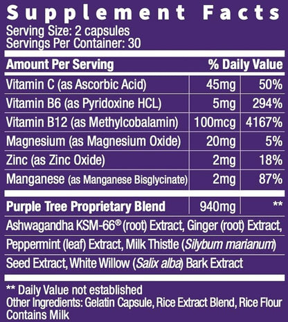 purple tree Next Day, Post-Celebration Wellness - Take Tomorrow | Replenish & Feel Your Best | Ashwagandha, Ginger, Peppermint, Milk Thistle, Electrolytes, Vitamins, 90 Pills