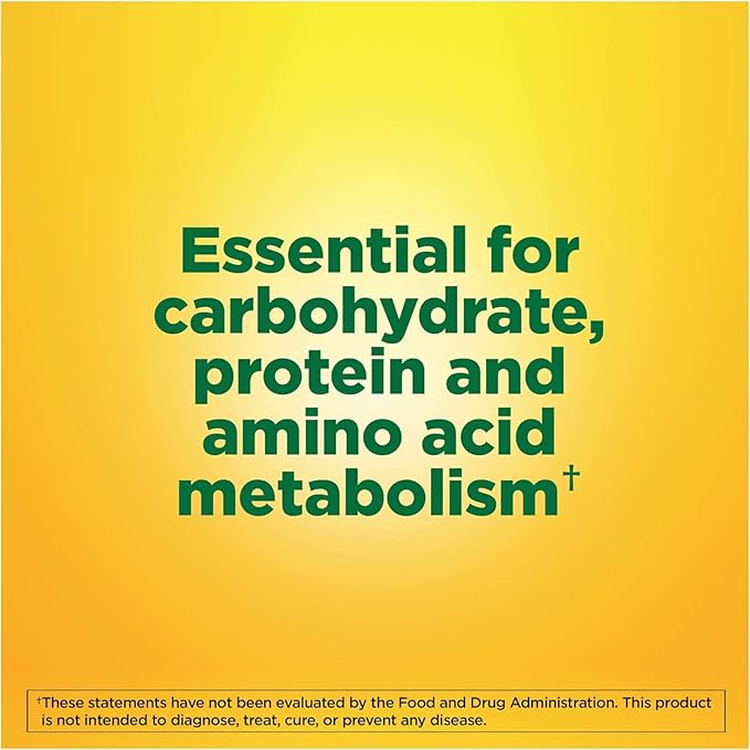 Nature Made Vitamin B-6 100 mg 100 ea 4)