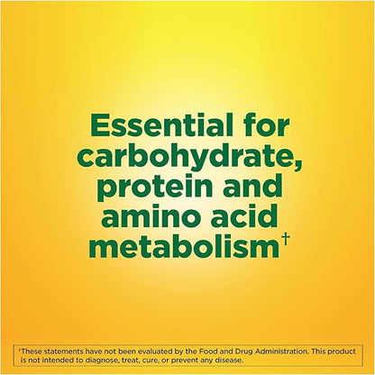 Nature Made Vitamin B-6 100 mg 100 ea 4)