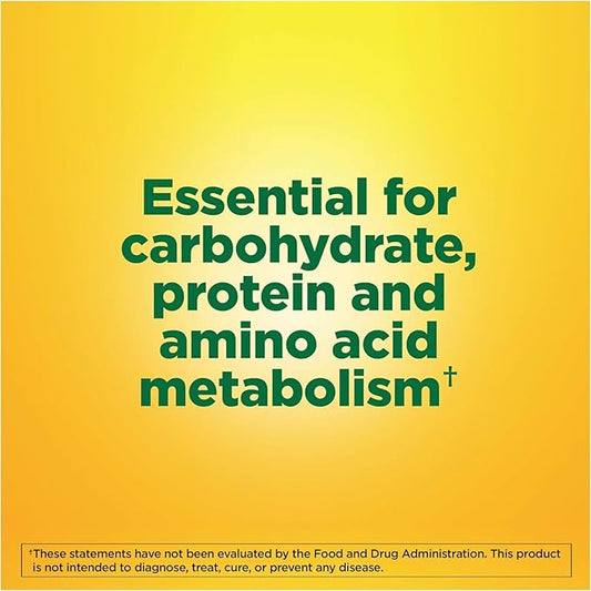 Nature Made Vitamin B-6 100 mg 100 ea 4)