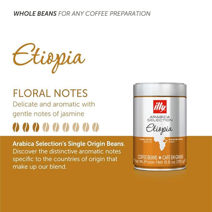 illy Whole Bean Coffee - Perfectly Roasted Whole Coffee Beans – Etiopia Bold Roast – Gentle Notes of Jasmine – Floral Notes - 100% Arabica Coffee - No Preservatives – 8.8 Ounce, 6 Pack