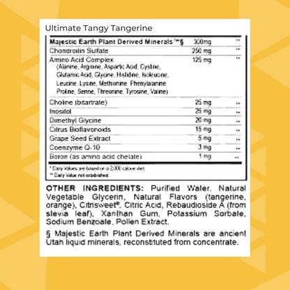 Youngevity Essential 90 Pak - Ultimate All-in-One Multivitamin Combo - Ultimate Tangy Tangerine + Ultimate EFA - 90 Essential Vitamins, Minerals, Amino Acids, Fatty Acids (30 Servings)