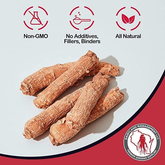 Red Panax Ginseng Powder with Natural (8 oz)- (1 Pack)