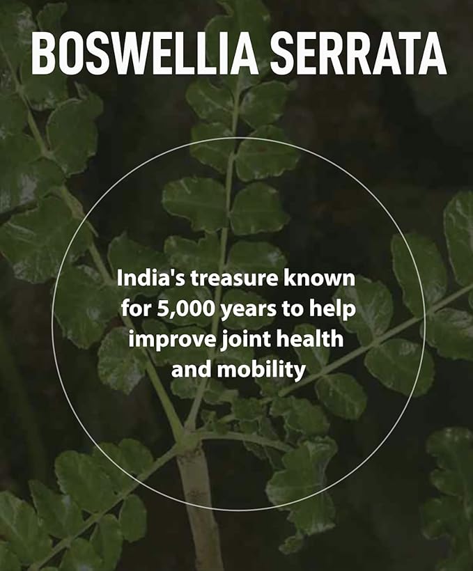 for Joints Health and Cartilage, Boswellia, 1,000mg of 71mg of (60 Tablets)
