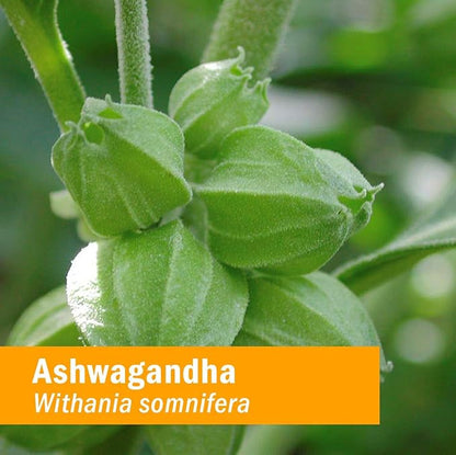 Herb Pharm Certified Organic Ashwagandha Extract 4 Oz