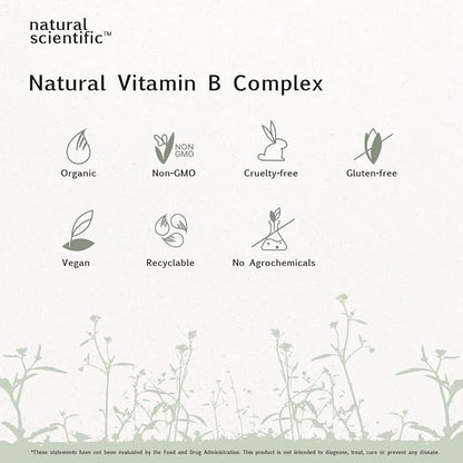 Organic Vitamin B Complex Supplement 30 Capsules
