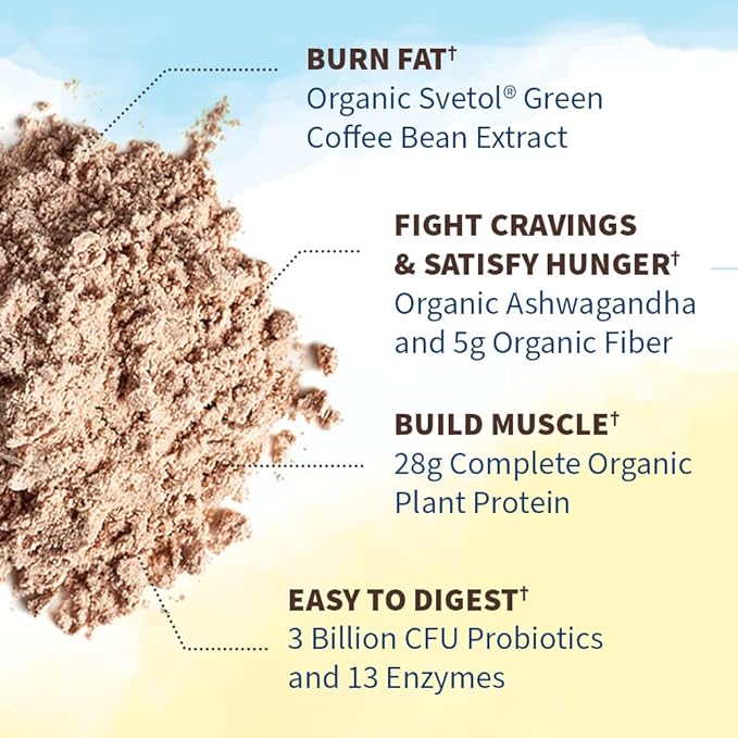 Garden of Life Raw Organic Fit 28g Plant 20 Servings