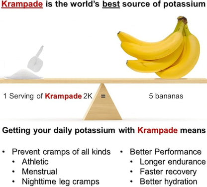 Electrolytes Powder Potassium Supplement - 2000 mg K+, >2X More Than Coconut Water | Cramp Relief and Prevention | Hydration Powder