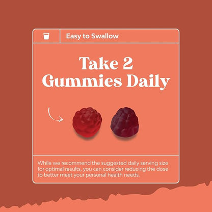 Sugar Free Fiber Gummies for Adults - High Fiber Supplement Gummies Vitamins for Adults with Prebiotic Soluble Chicory Root for Immunity and Digestive Support - Non GMO Halal Vegan Kosher Gluten Free