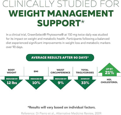 SoActive Green Tea™ Extract - Clinically Studied Green Tea Phytosome - Up to 200% Better Absorption & Bioavailability - Clinically Validated Dose - Supports Metabolism & Weight Management - 60 Caps