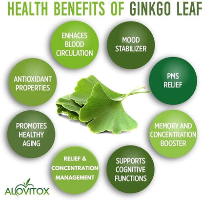 Ginkgo Biloba Leaf Powder 8oz 100% Natural
